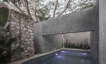Hotel Casa Hormiga