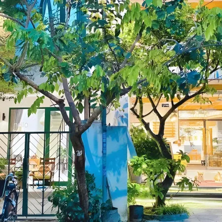 Okra Hoian Отели рядом с достопримечательностью «Пляж Хойан»