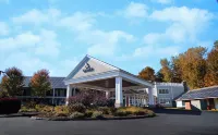 The Yankee Inn - Wifi