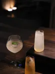 TOKI Boutique Hotel Tam Dao - bar