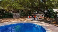 Cosmo Guest House - piscina