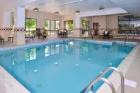 Hampton Inn Waynesboro/Stuarts Draft - Pools