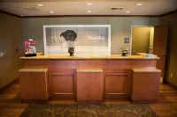 Hampton Inn Mountain Home - Pools