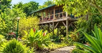 Treetop Cottage Escape in Tropical Garden Near San Ignacio - appartements de vacances