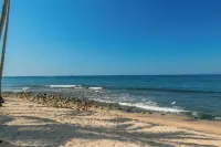 Amaca Beach Hotel - Puerto Vallarta Eco Resort & Spa - Homestays