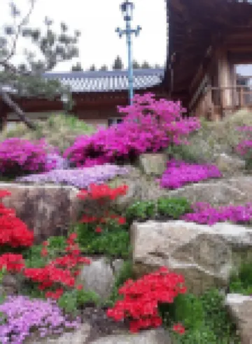 Jangseong Forest Scent Pension
