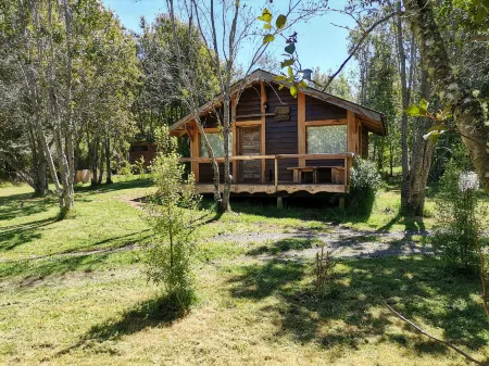 Wonderful Rustic Cabin 2, with Native Logs, on the Banks of the Trancura River Отели рядом с достопримечательностью «Buses Caburgua»