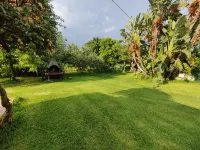 Giardino di Limoni eco friendly villa - Villas
