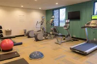 Holiday Inn Express GRAND ISLAND - NIAGARA FALLS by IHG - Gym