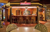 Holiday Inn SAINT LOUIS WEST AT SIX FLAGS by IHG - bar