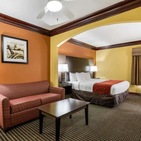 Comfort Suites Lake Jackson Clute