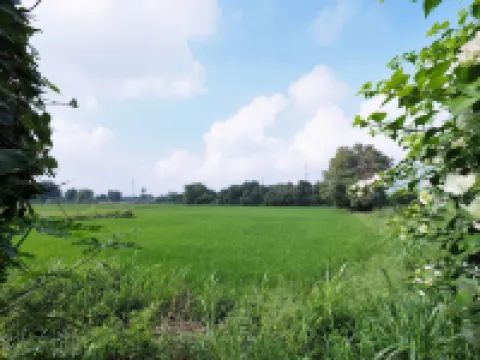 Sweet Inn Resort Hotels near Queen Suriyothai Monument