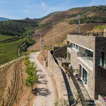 Vila Gale Douro Vineyards