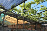 Agriturismo Casa Scola - Farmhouses