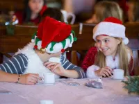 Dansereau House Hotels in Lafourche Parish
