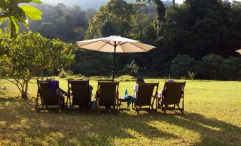 Udzungwa Forest Camp