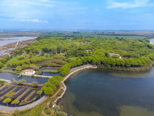Belvedere Pineta Camping Village - Homestays