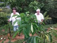 Rainforest Yasmin Hotel Hotels in 