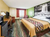 傑克遜維爾速8酒店 杰克森維爾酒店