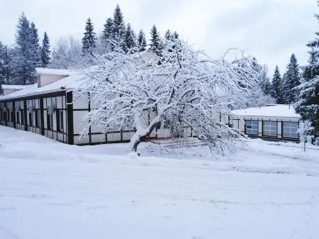 Lesnoy (Лесной парк-отель)