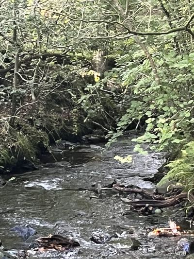 ホテル周辺 ケンブリッジ ハウスの写真