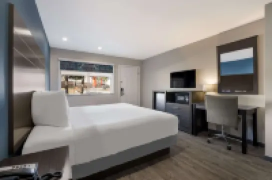 SureStay Hotel by Best Western Spring North Houston Hotels in Montgomery County