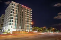 西棕櫚灘I95 暢貨中心希爾頓花園酒店