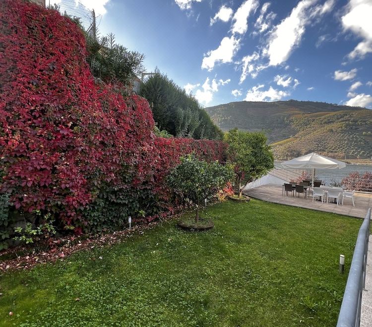 Hotel Folgosa Douro - Housity