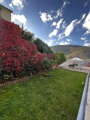 Hotel Folgosa Douro فنادق في Sao Martinho das Chas