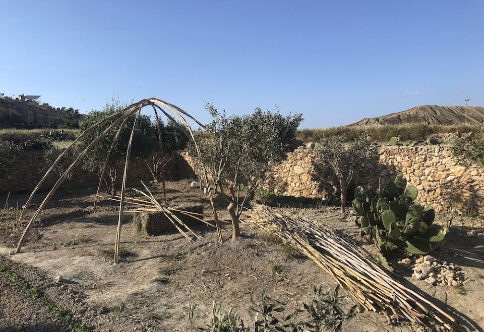 Hotel Dar il-Hena Organic B&B, Exterior, Garden