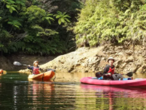 国頭村環境教育センター やんばる学びの森 国頭村のホテル