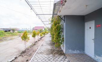 RedDoorz Near Universitas Palangkaraya 2