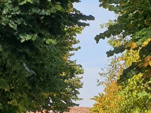 Casa di Collina Nelle Langhe Typical Country House