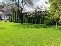 Vila BBQ Hotels in Rudnik District