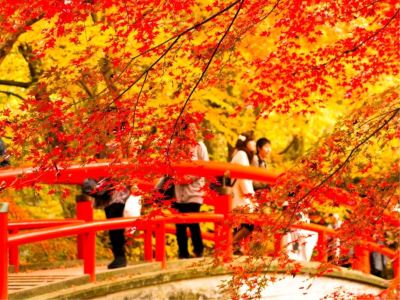 ホテル周辺 伊香保温泉　和心の宿 大森の写真