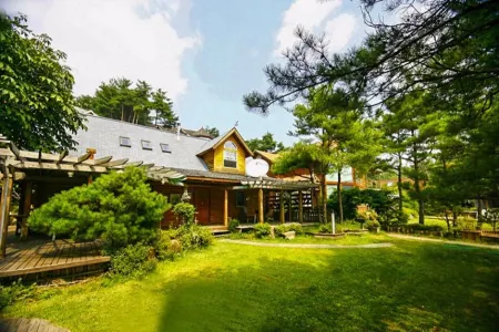 Hoengseong Log House Pension Отели рядом с достопримечательностью «Hoengseong Welli Hilli Park Ski Resort»