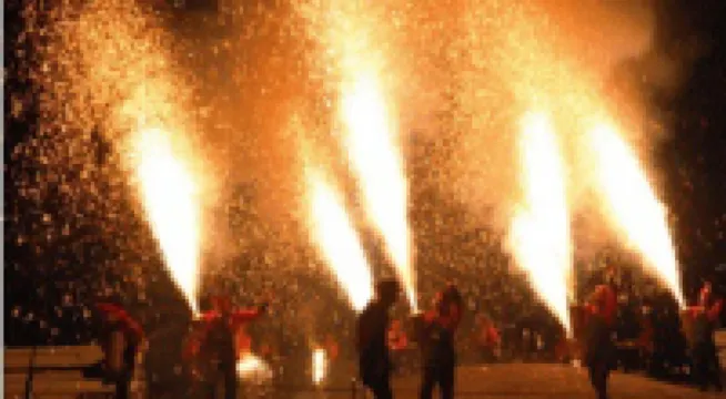 シティホテル望月 尾鷲のホテル