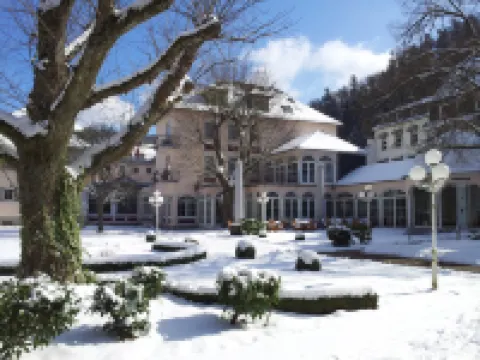 Hotel Fürstenhof Hotels in Bad Bertrich