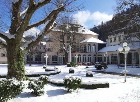 Hotel Fürstenhof Отели в г. Бад-Бертрих