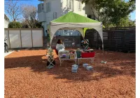 Free Style