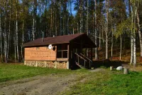 Lumivaara Hotel Hotels in Lakhdenpokhsky District