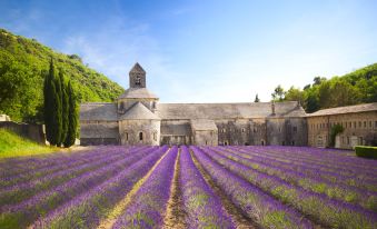 The Reading Nook - Ideally Located Provence Home with Private Pool on 1 Acre