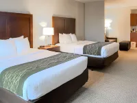 Comfort Inn & Suites Hotels in Rogersville