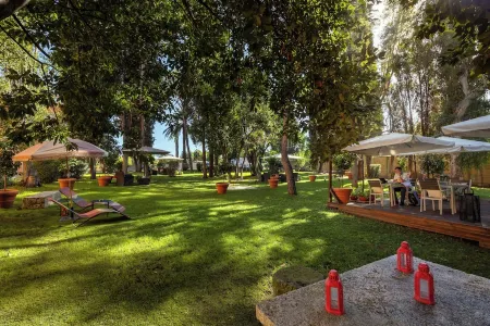 Hotel Area