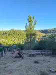 Quinta O Pinheiro - Paradise at the gates of Coimbra Hotels near Monastery of Santa Clara-a-Nova