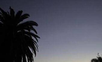 Narooma Palms Holiday Apartments