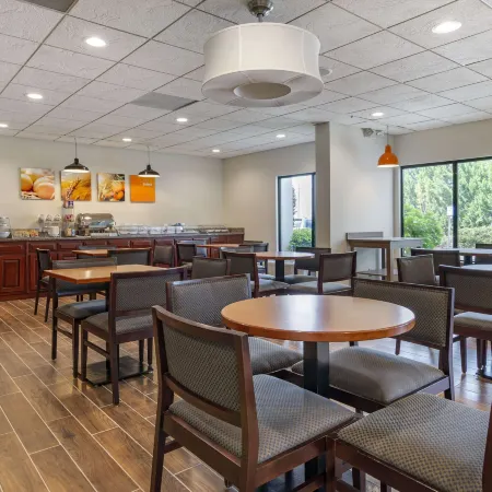 Comfort Inn & Suites Dahlonega University Area