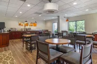 Comfort Inn & Suites Dahlonega University Area