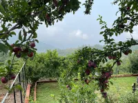 ValleyView Homestay Bhaloo's Village Camp & Cafe - Mukteshwar, Nainital 주변 호텔