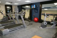 Hampton Inn & Suites Wilder - Gym
